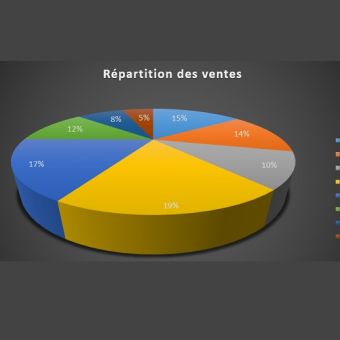 Utiliser les graphiques Excel pour des présentations adaptées - Niveau 2