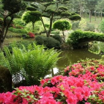 Conceptions paysagères et nouvelles tendances d'ambiances de jardins