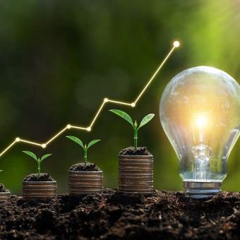 Transition écologique : leviers d'action pour les collectivités territoriales
